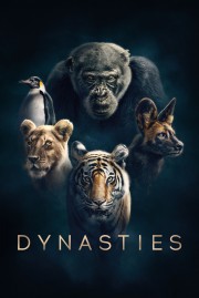 Dynasties Dynasties