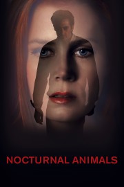 Nocturnal Animals Nocturnal Animals