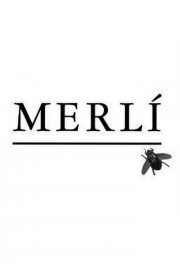 Merlí Merlí