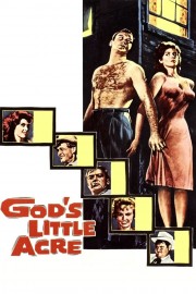 God's Little Acre God's Little Acre