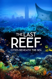 The Last Reef: Cities Beneath the Sea The Last Reef: Cities Beneath the Sea
