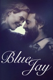 Blue Jay Blue Jay