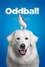 Oddball Oddball
