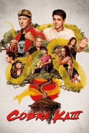 Cobra Kai Cobra Kai
