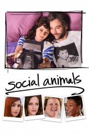 Social Animals Social Animals