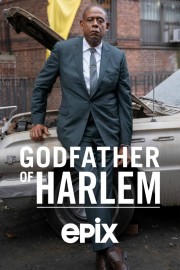 Godfather of Harlem Godfather of Harlem