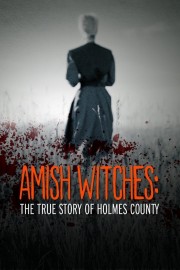 Amish Witches: The True Story of Holmes County Amish Witches: The True Story of Holmes County