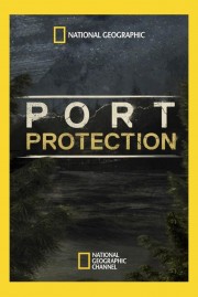 Port Protection Port Protection