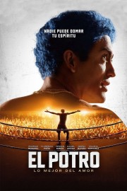 El Potro: Lo mejor del amor El Potro: Lo mejor del amor