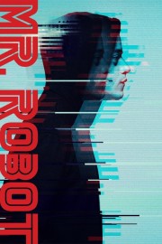 Mr. Robot Mr. Robot