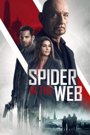 Spider in the Web Spider in the Web